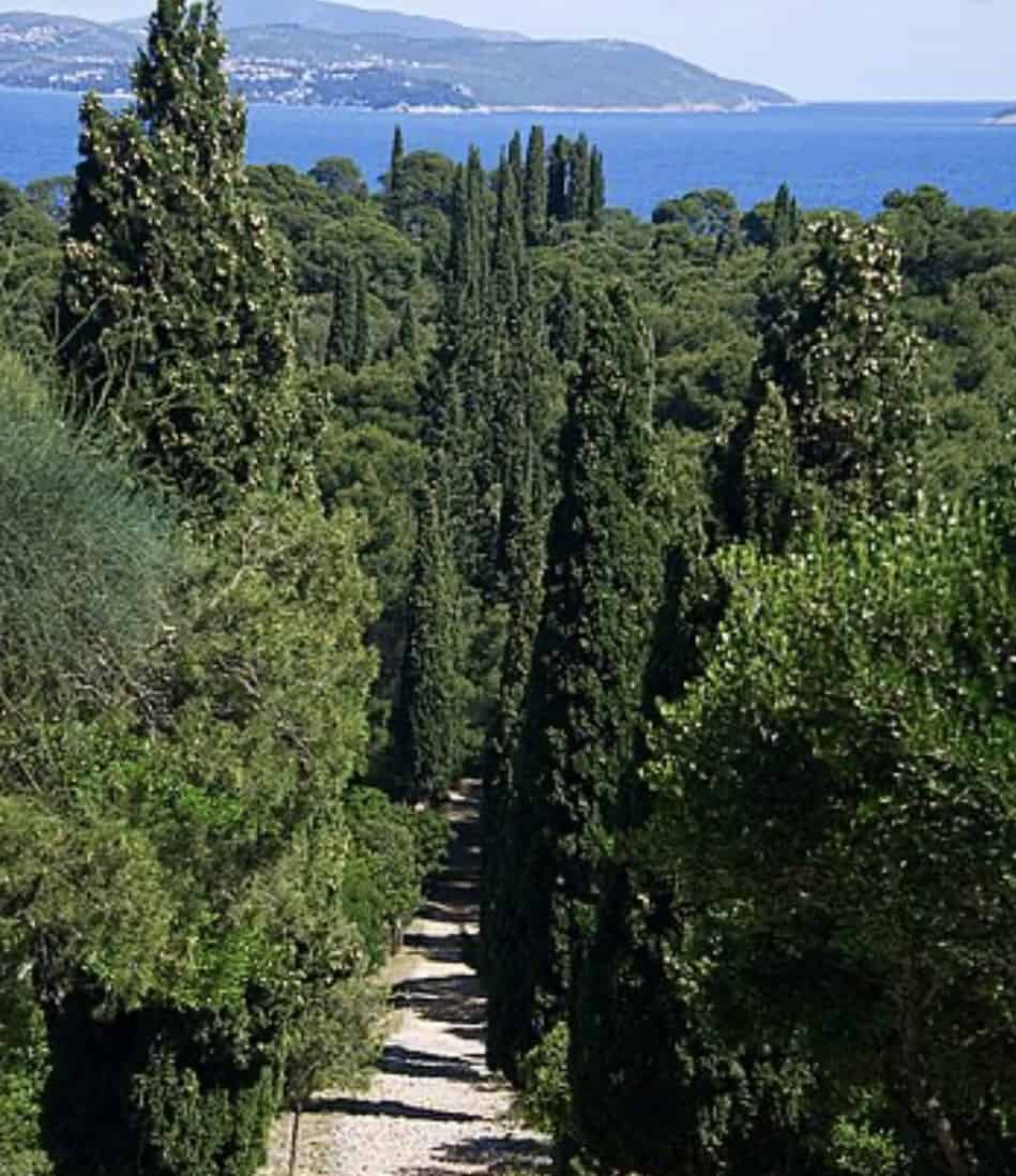 Path to paradise Lokrum Island 