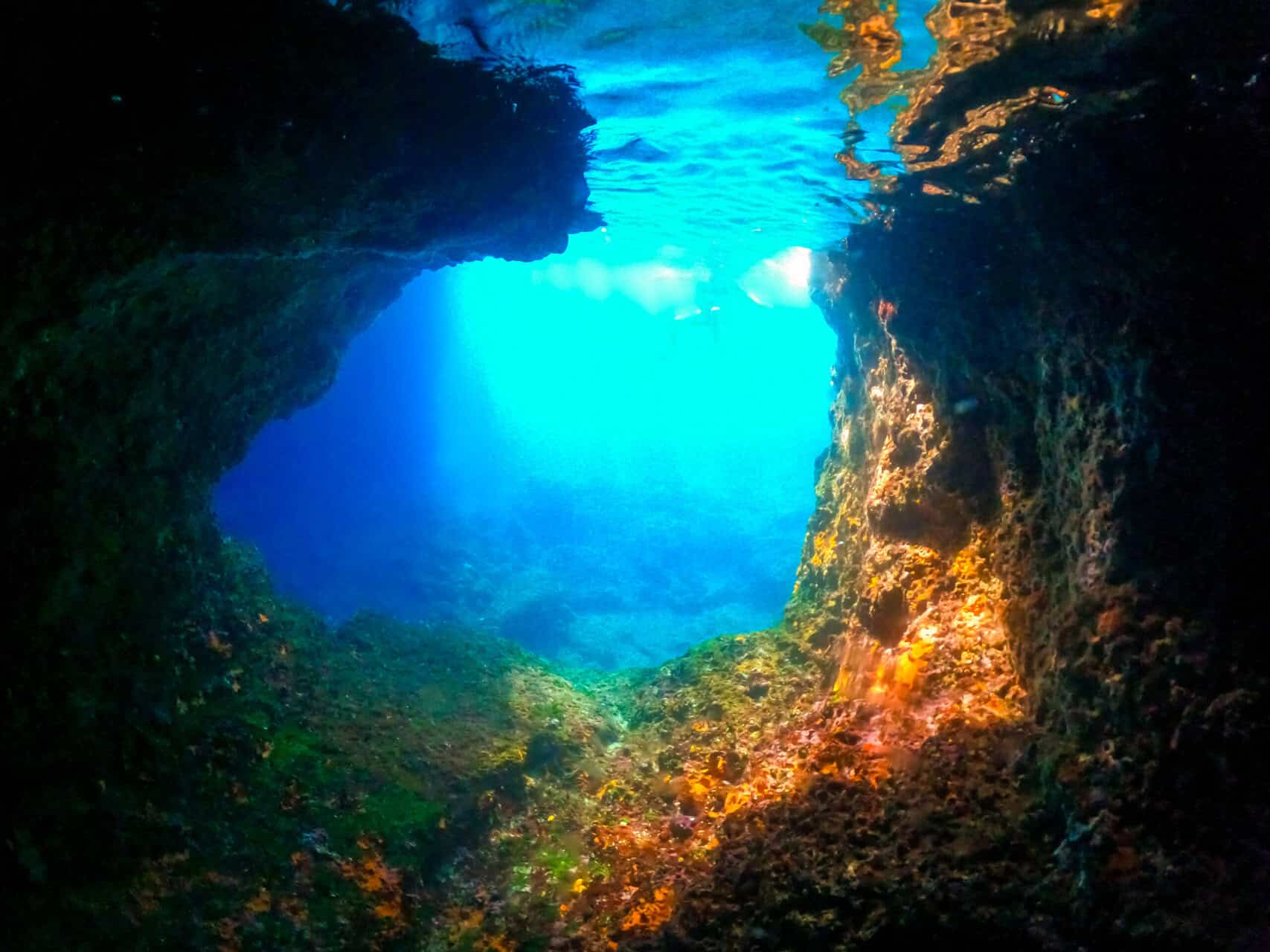Snorkel in crystal-clear waters on a private boat trip from Dubrovnik, visiting top underwater spots