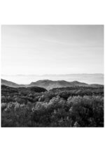 MARAMA - Image 8