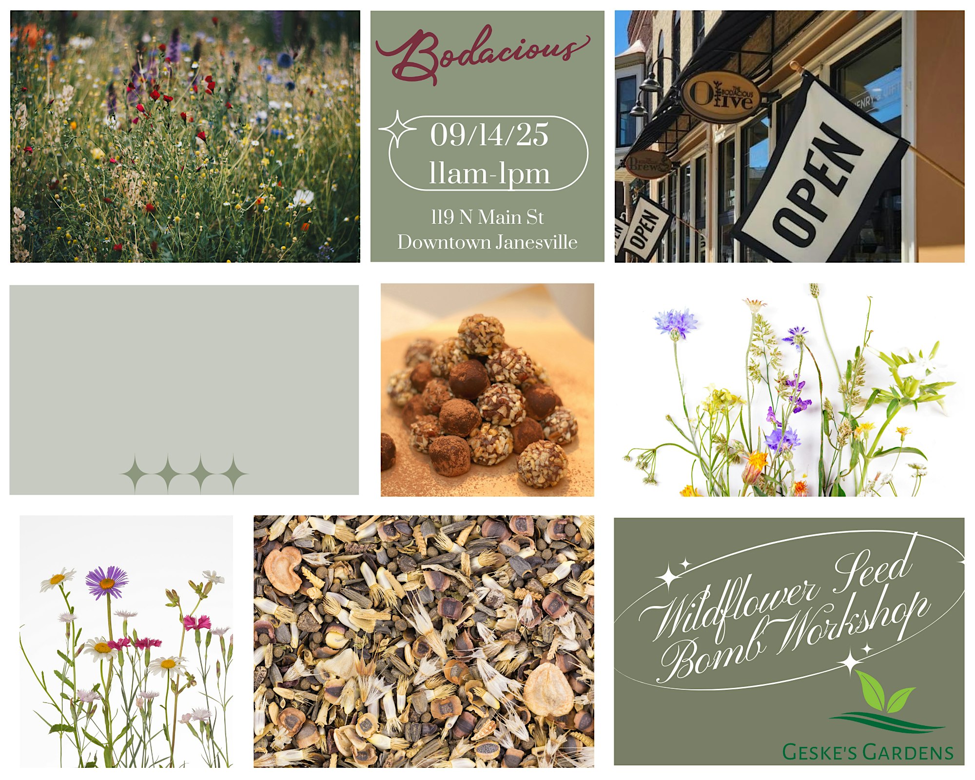 Wildflower meadows and colorful wildflowers blooming in nature, promotional event details for Bodacious Shops Wildflower Seed Bomb Workshop, organic seed mix for wildflowers, and shop signage for Bodacious Shops in Downtown Janesville.