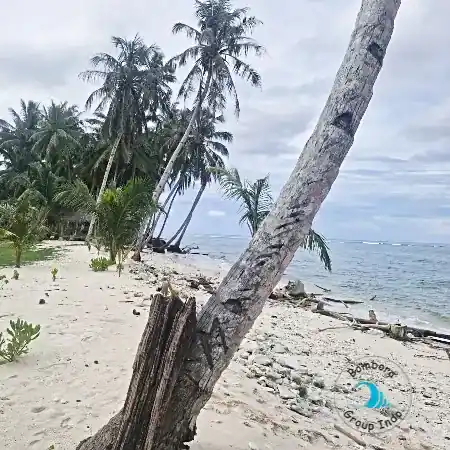 Mentawai Islands Property for Sale - Bombora Group Indo