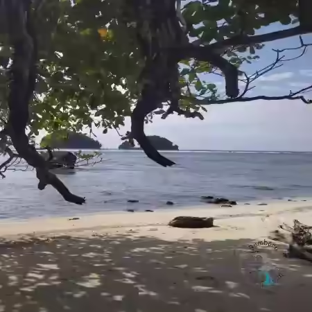 3223m2 available freehold on Siburu island