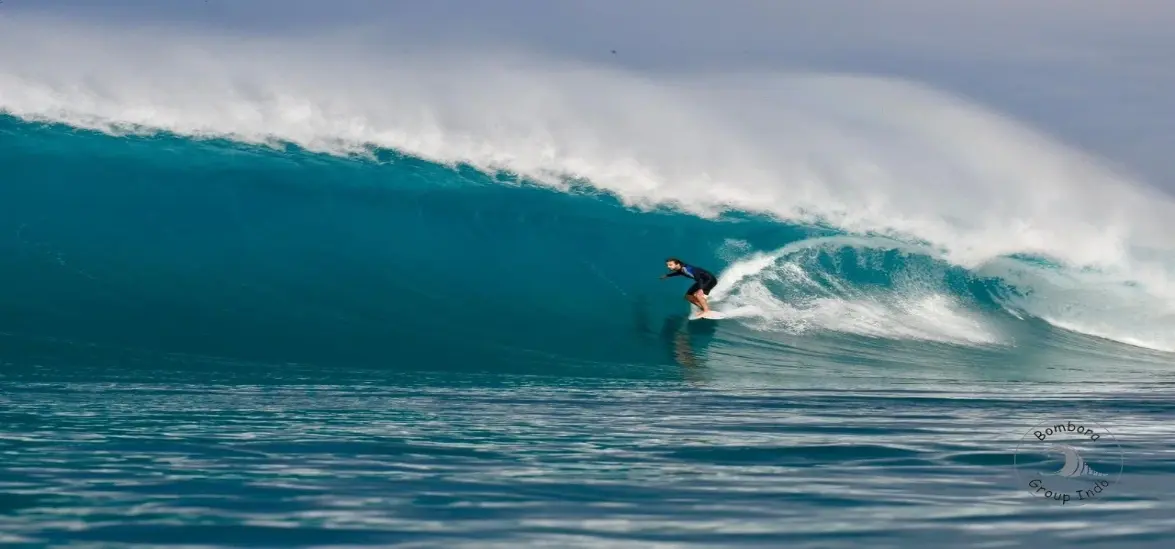 Investment Opportunity - Mentawai Islands