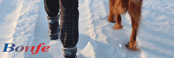 In December 2024, a person in snow boots strolls through the wintry landscape with their dog, as the logo "Bonfe" graces the bottom left corner. Enjoy exclusive insights with Bonus Bonfe Insider.
