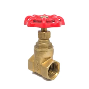 Brass gate valve with a red handwheel, featuring a threaded connection and marked "1/2" on the body, positioned upright on a white background—perfect for your June 2025 Bonfe Insider feature.
