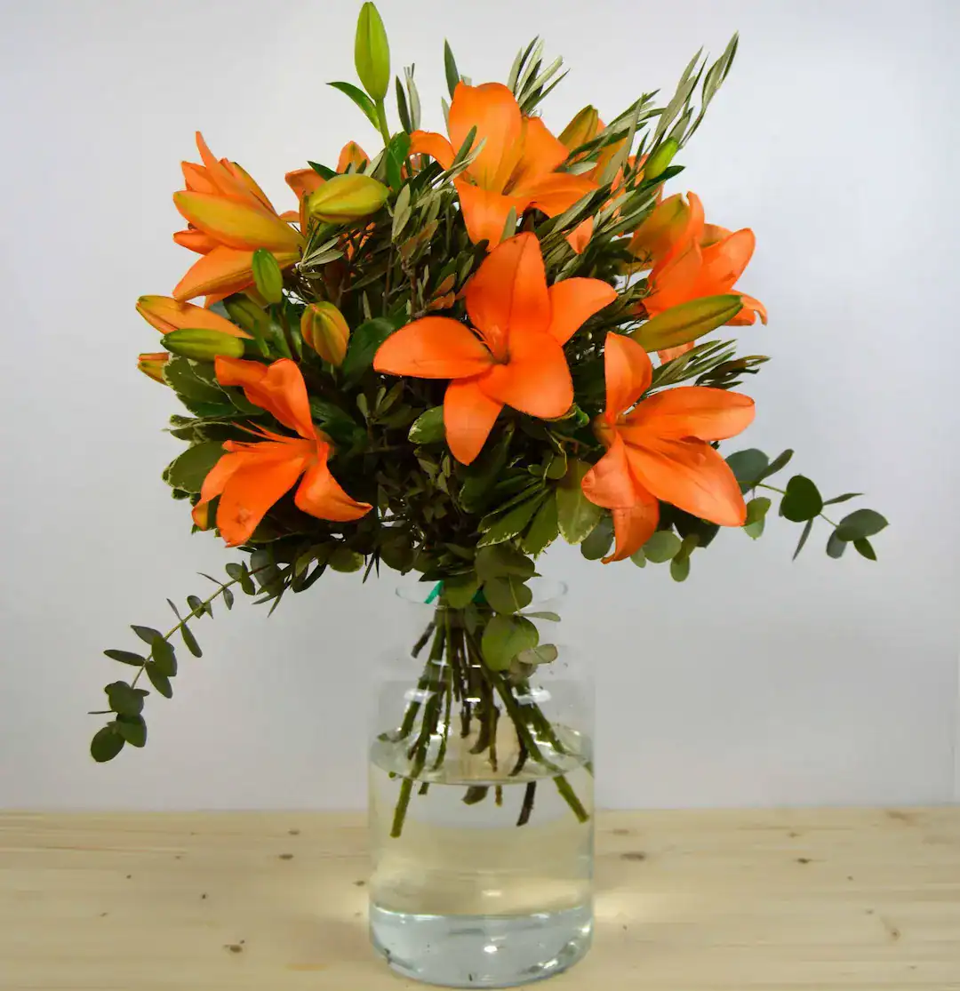 Summer Vibes - Imagen 3