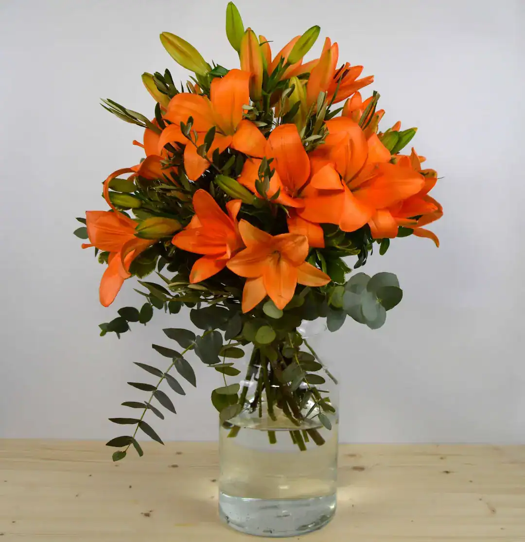 Summer Vibes - Imagen 2