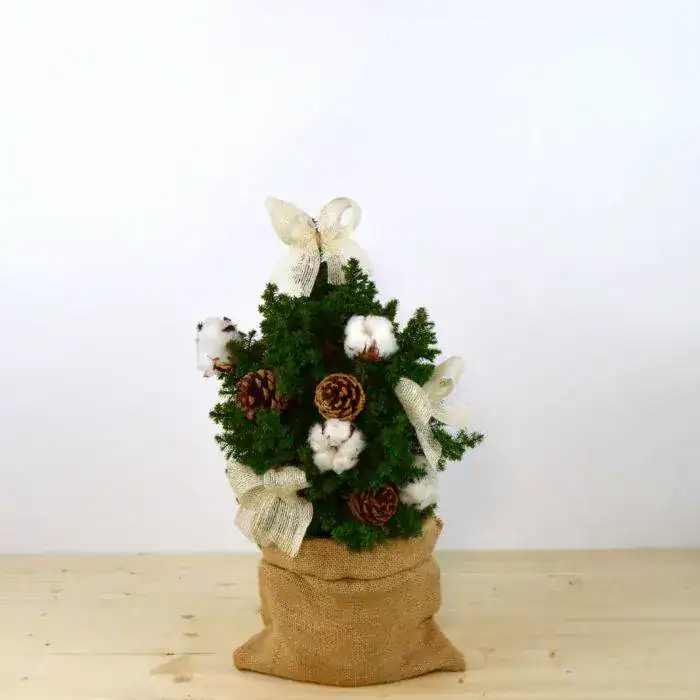 White Christmas Tree