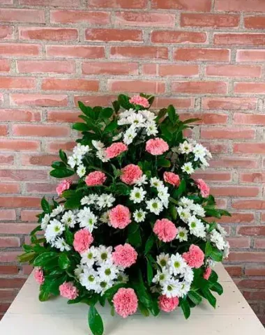 067ebe2b-92c4-4735-beb1-cef852eeda16-min