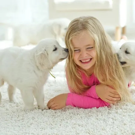 Young girl lying on a white carpet, smiling as two white puppies nuzzle her, enjoying the comfort of a home kept cool with High Velocity AC Repair. Another playful puppy lingers in the background.