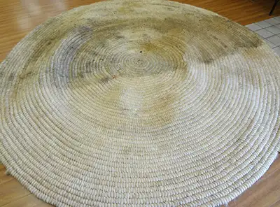 Photo of a dirty seagrass rug before it's professionally cleaned