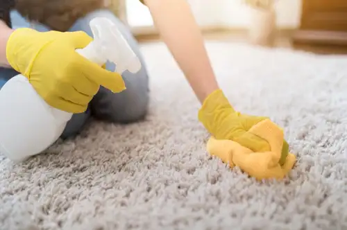 Person cleaning carpet with spray bottle and cloth
