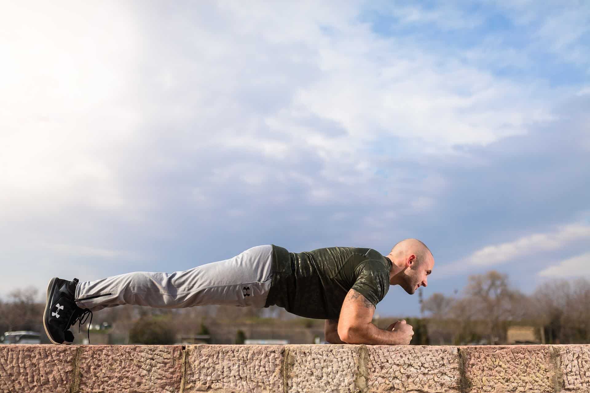 plank 1