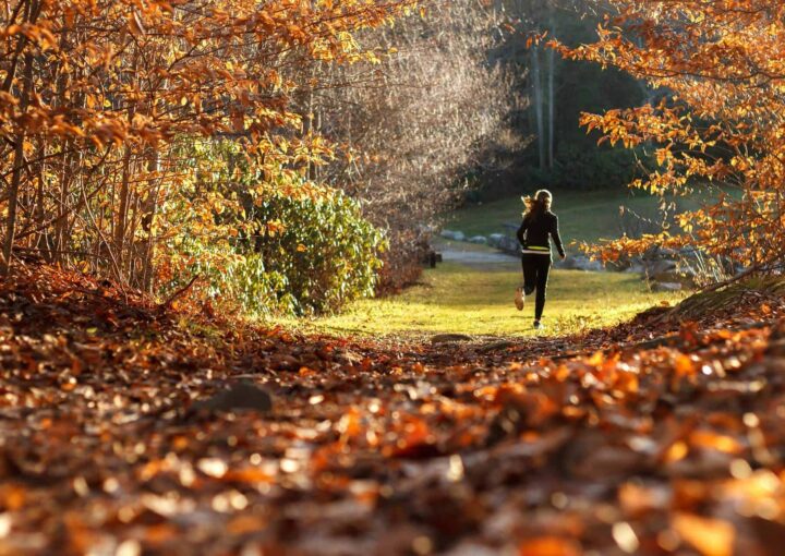 Autumn leaves pathway at Bay-O-Vista Swim & Tennis Club with a person jogging amid fall foliage.