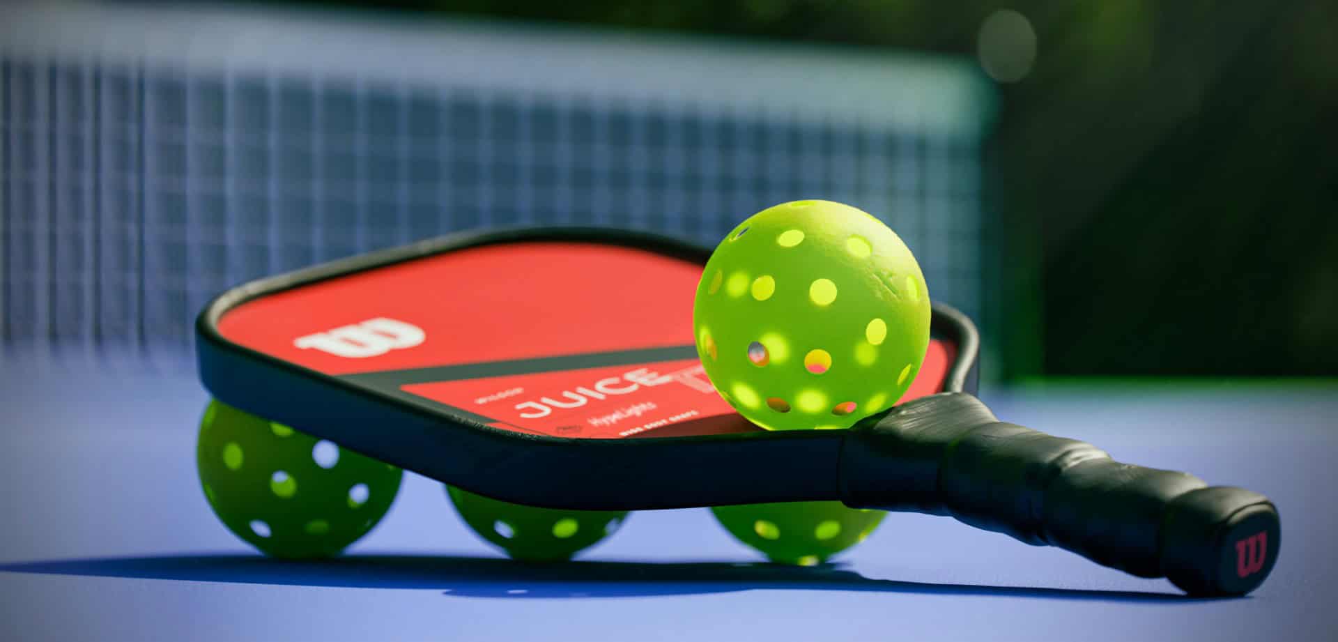 Pickleball Feb 2025