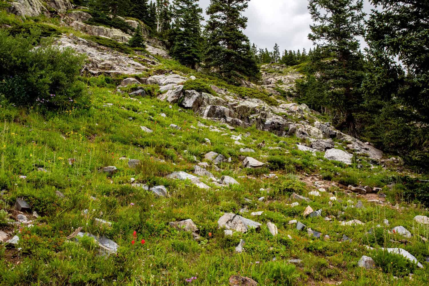 Hiking Colorado