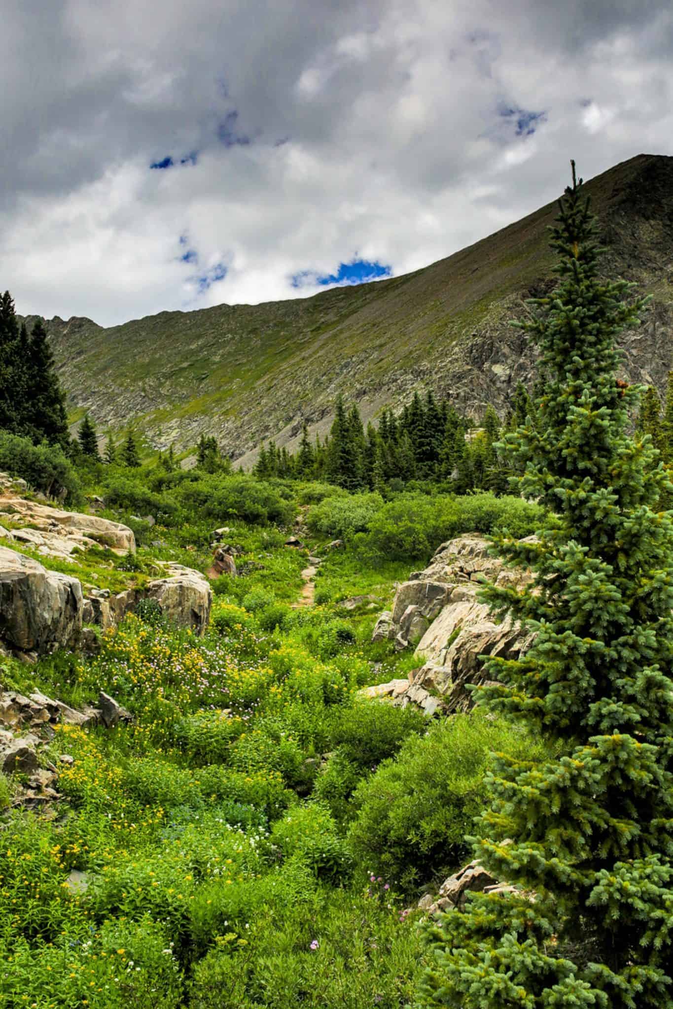 Hiking Colorado
