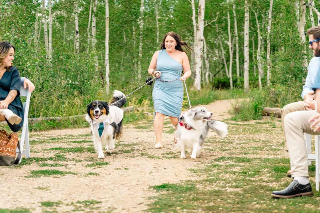 gay couple gets married granby ranch004 A group of people with dogs walking down a path.