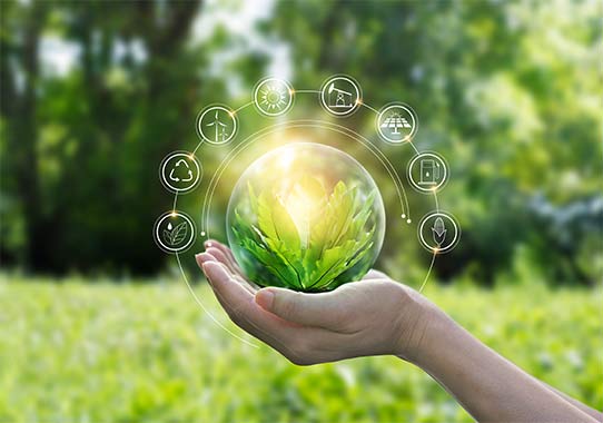 Roadmap to Net Zero