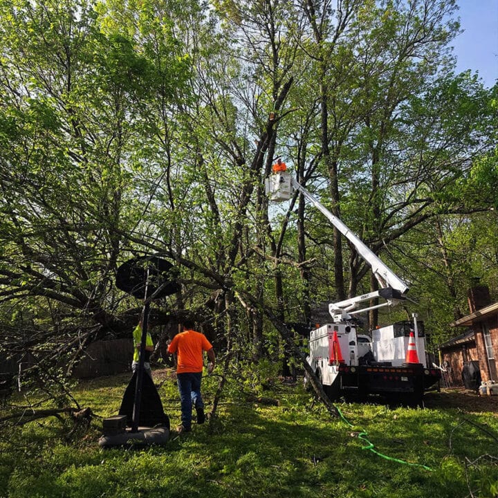 Tree Trimming in Fort Smith, AR.