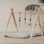 Leg&Go Baby Gym