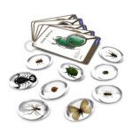 Naturwissenschaften Experimente