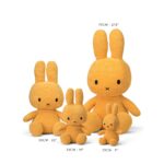 MIffy Size