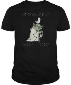 Seagulls Stop It Now