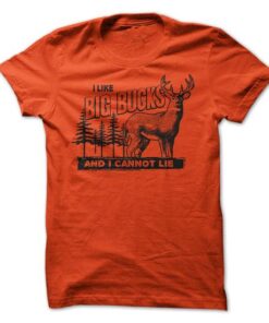 I like Big Bucks