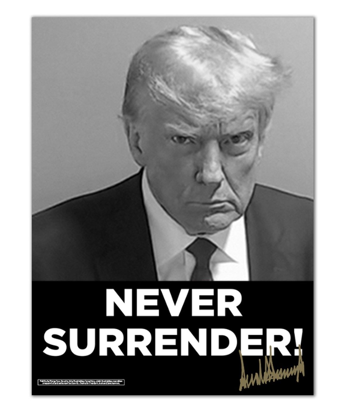 Never Surrender Signed Poster 18x24