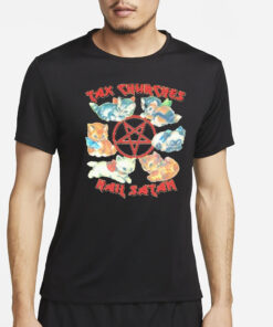 Cat Tax Churches Hail Satan Shirt4