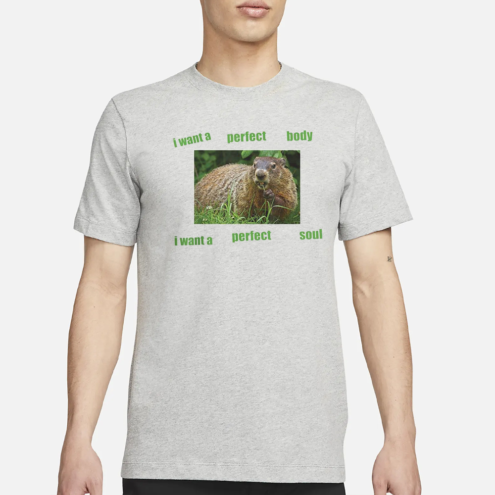 I Want A Perfect Body I Want A Perfect Soul T-Shirt 4 I Want A Perfect Body I Want A Perfect Soul T-Shirt1
