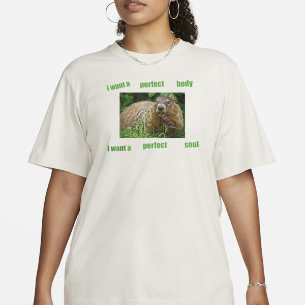 I Want A Perfect Body I Want A Perfect Soul T-Shirt3