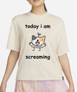 Stinky Katie Today I Am Screaming T-Shirt4