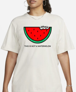 This Is Not A Watermelon T-Shirt1