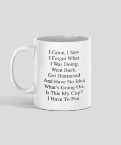 I Came I Saw I Forgot What I Was Doing Went Back Mug