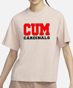 Christian University Of Michigan T-Shirt3
