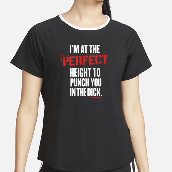 I’m At The Perfect Height To Punch You In The Dick T-Shirt4