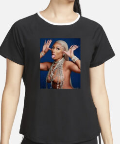 Megan Thee Stallion Hiss Tina Snow T-Shirt4