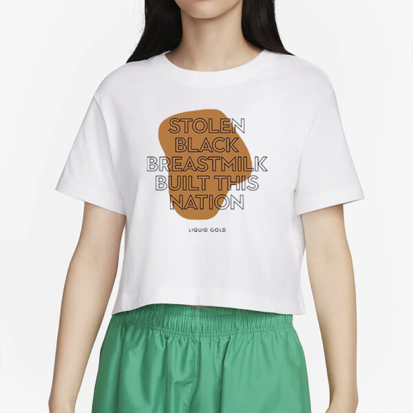 Stolen Black Breastmilk Built This Nation T-Shirt2