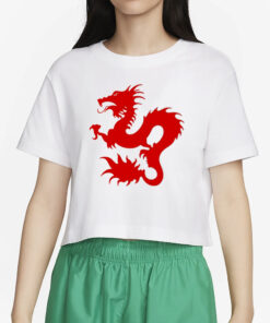 Trashboy Dean Blunt Zushi T-Shirt4