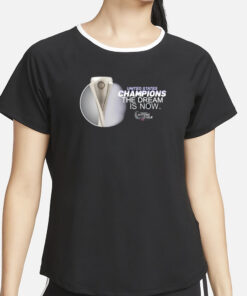 United States Champions The Dream Is Now T Shirt4.