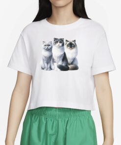 Cornelia Street Shirts The Kitty Committee T-Shirt4