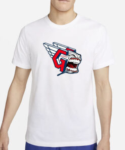 Csr 3 Out Of 4 In Boston T-Shirt