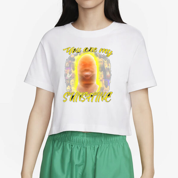 Funny Ahh Tees You Are My Sunshine Lebron T-Shirt2