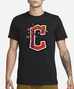 Guardians AAPI T-Shirt1