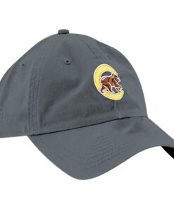 Loyola University Chicago Hat Giveaway 2024