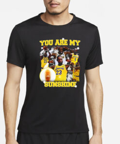 You Are My Sunshine Lebron James T-Shirt2