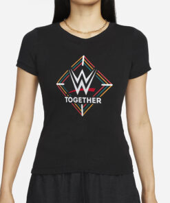 2024 Aapi Heritage Month Together T-Shirt