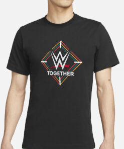 2024 Aapi Heritage Month Together T-Shirts